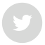 twiter circle icon